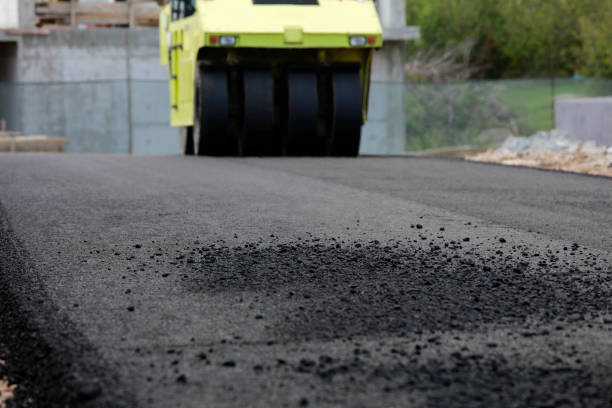 Best Driveway Pavers Near Me  in Cherry Brah, NC