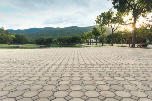 Best Local Driveway Pavers  in Cherry Brah, NC